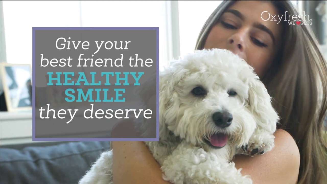 oxyfresh water additive for pets