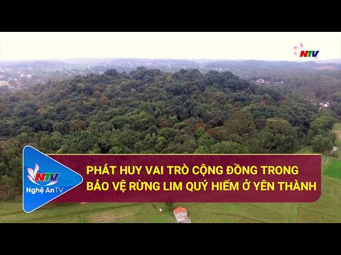 Video Phát huy vai trò cộng đồng trong bảo vệ rừng Lim quý... - youtube