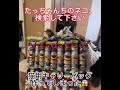 猫も喜ぶうまい棒120本の猫キャリーバッグumaibou 120 cat carrier bag