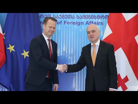 დავით ზალკალიანი დანიის საგარეო საგარეო საქმეთა მინისტრს შეხვდა