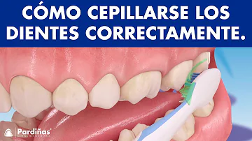 ¿Con qué frecuencia se cepilla los dientes una persona normal?