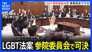 【速報】LGBT法案、参院の委員会で可決　修正の文言に当事者からは懸念｜TBS NEWS DIG