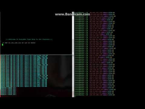 Telnet stress test