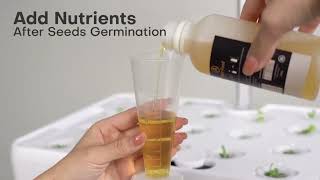 Indoor Garden Hydroponics Growing System Kit: 66 Pods Plant Herb Garden Germination Kit