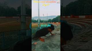 Day21/80 best chest workout📈   #shorts #ytshorts#indianarmy #motivat #viral#fitness #trending#reels