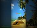 Quran Translation Urdu | Islamic Videos #shorts #viral #islamicvideo