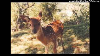 sweet drill x rnb type beat - "dont come back"