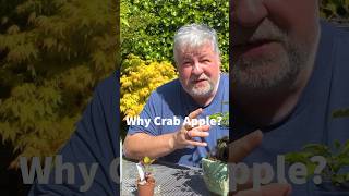 Why Develop Crab Apple Bonsai?