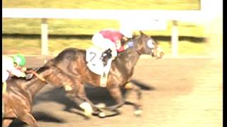 Turfway Park Report 12182015