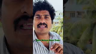 ఎండిపోతున్న వేప చెట్లు🥹🙏 #bhimavaram #savenature #savetrees #trees #nature #naturelovers #shorts