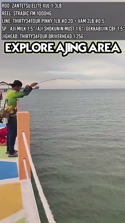 Ajing Game / Ajing Fishing #ajing #fishing #ajingfishing #kotakinabalu #ajingmalaysia #smallfish