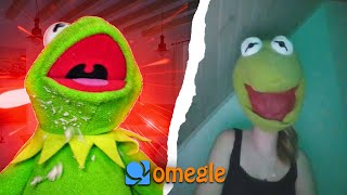 Kermit is a bad frog on Omegle