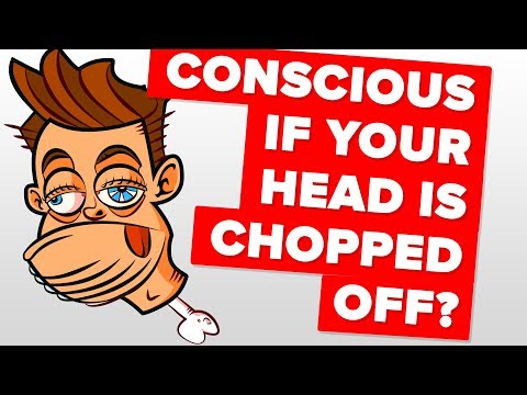 Video: Does A Person Die As Soon As His Head Is Cut Off? - Alternative View