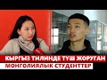 Кыргыз тилинде түш жоруган монголиялык студенттер