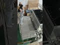 What Is This Machine Doing? Inside Ribbon Blender Test Run #factorytour #ribbonblender