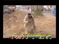 Kabhi Na Kabhi Karachi Nazia Iqbal Kabhi Na Kabhi Karachi Nazia Iqbal