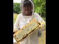 Our first honey extraction