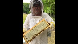 OUR FIRST HONEY EXTRACTION!