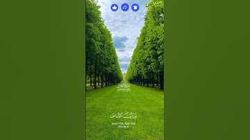 سـورة النصــر بصوت القارئ الشيخ #ياسر_الدوسري