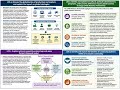 CSCA B 2 STRATEGY IN A GLOBAL CONTEXT 1