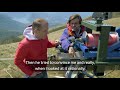 Swiss start-up generates electricity from wind power