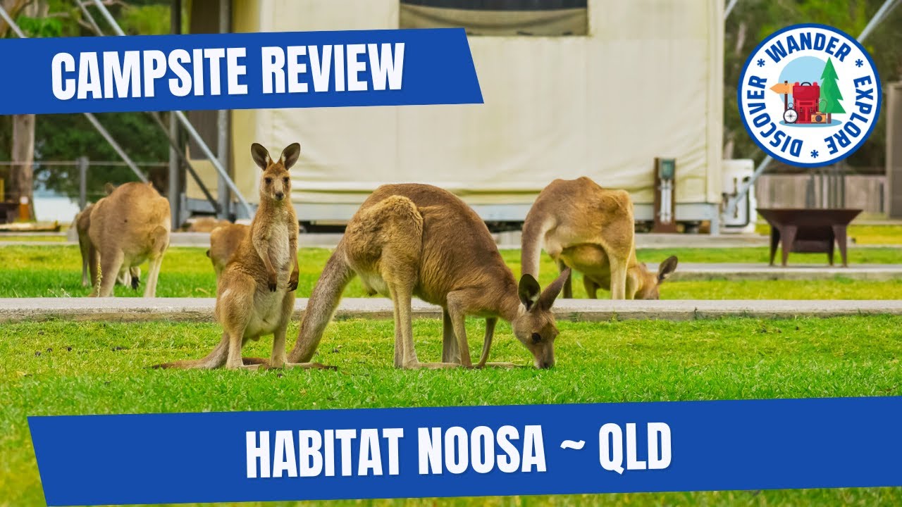 Habitat Noosa