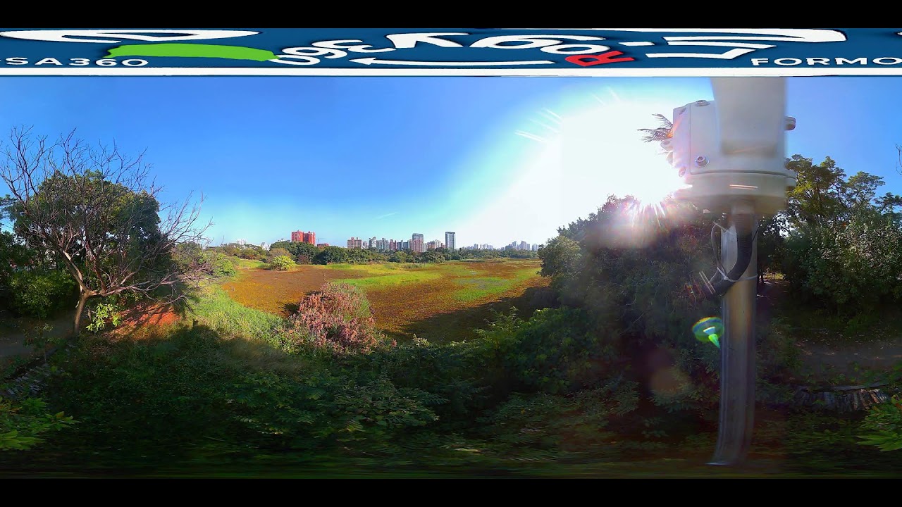 高雄洲仔濕地公園