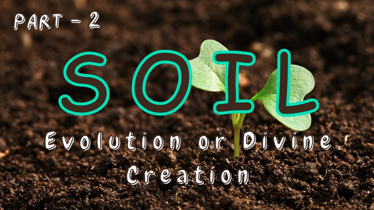 SOIL - Evolution or Divine Creation | Part- 2| Islam and Science.