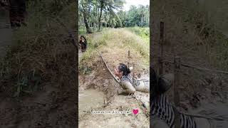 ..Commando crawl 😍💗 #camporee #careeropportunities #schoollife #teacherlife