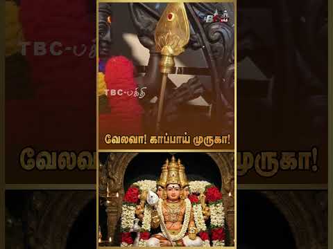வேலவா! காப்பாய் முருகா!#murugan #muruganthunai #murugansongs #murugar #muruga