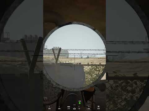 من هدف سهل إلى صياد محترف 