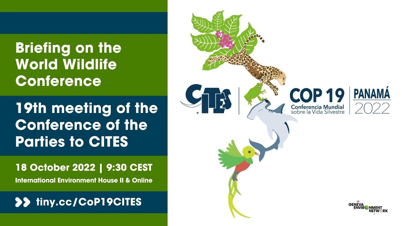 Briefing on the World Wildlife Conference 19th meeting of the