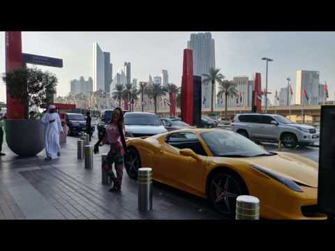 Dubai Mall Tour, Worlds Largest Mall, Burj Khalifa, Dubai Aquarium, skate, Underwater Zoo, Fountains