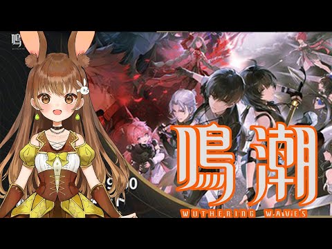 【鳴潮】漂流者いきます❗🐰🍀【黒絵アリス／#vtuber #鳴潮  #WutheringWaves】