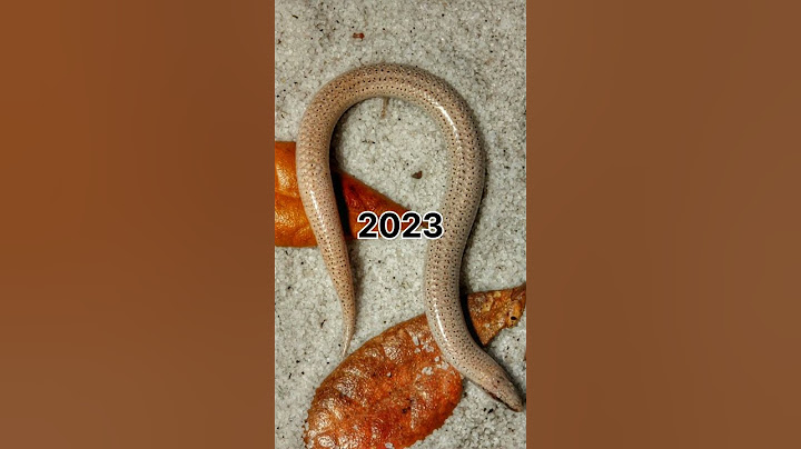 2023 send and 6000 send bce present past animals🎁//🔥ppa// #animals #youtubeshorts #shorts