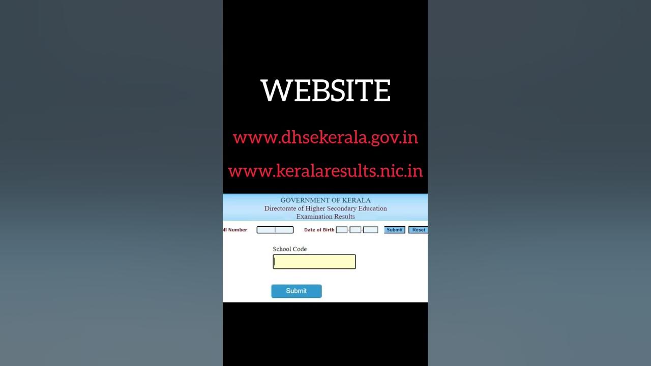 KERALA DHSE PLUS TWO RESULT 2023 plustworesult result plustwo website schoolwiseresult