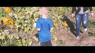 Pumpkin Patch 2017