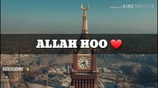 Oh Allah The Almighty ALLAH HOO ALLAH 😍 || WhatsApp Status || ALLAH HOO ALLAH 😍