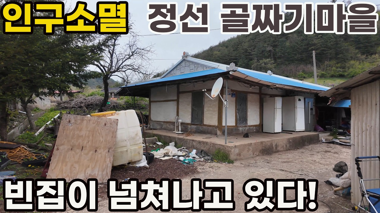 인구소멸 강원도 정선, 빈집이 늘어가는 골짜기 마을 4k 걷기 영상