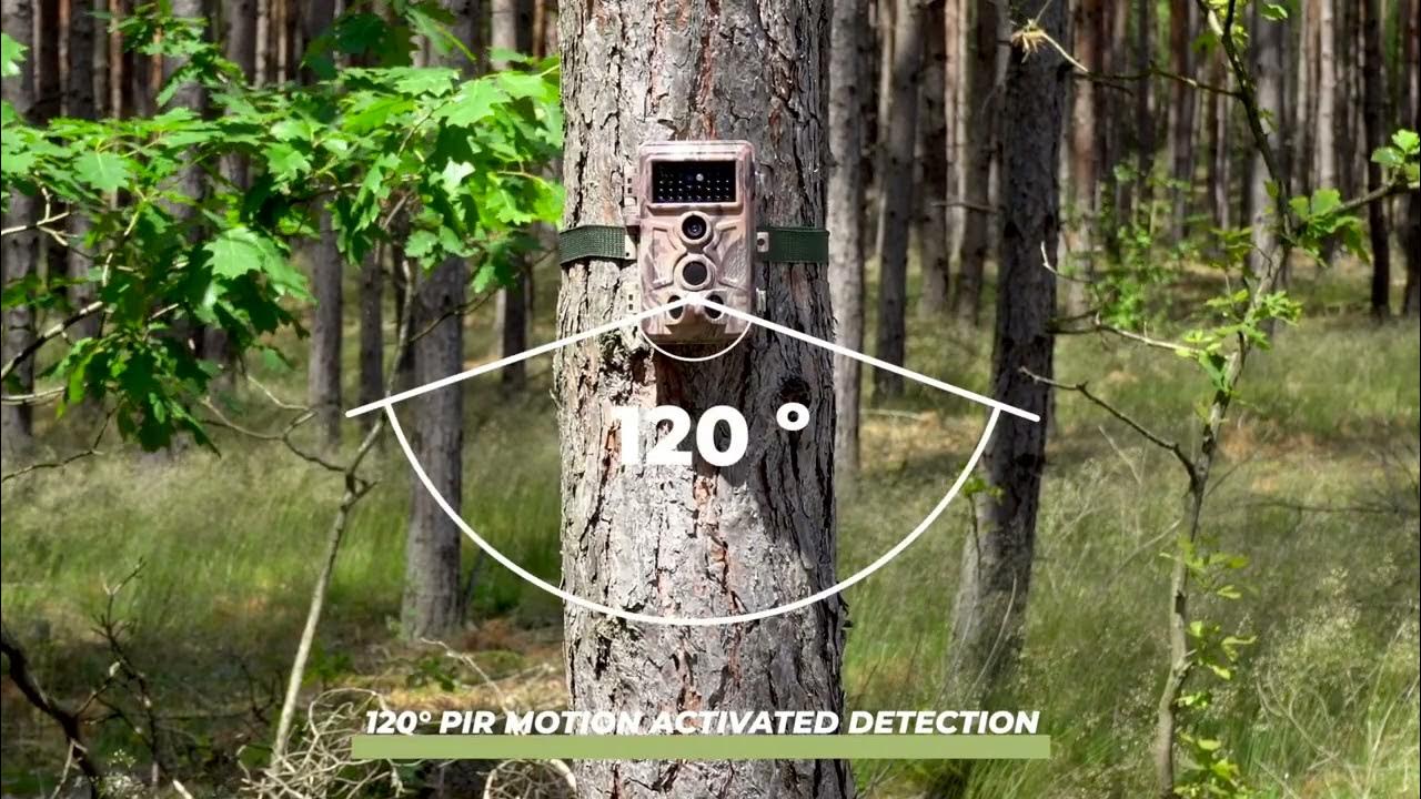 BLAZEVIDEO TRAIL CAMERA A262 YouTube