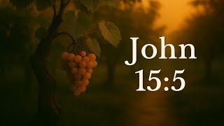 John 15:5 — The Vine and the Branches (NKJV • NIV • NLT • AMPC • TPT • NASB)