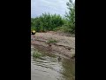 После долгой жары пришли дожди и прохладная погода.