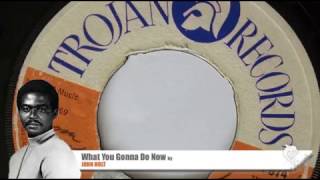 John Holt - What You Gonna Do Now (1969) Trojan 674 B