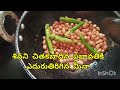 శివ ని చితకాబాదిన ప్రభావతి కి షాక్ ఇచ్చిన మీన 