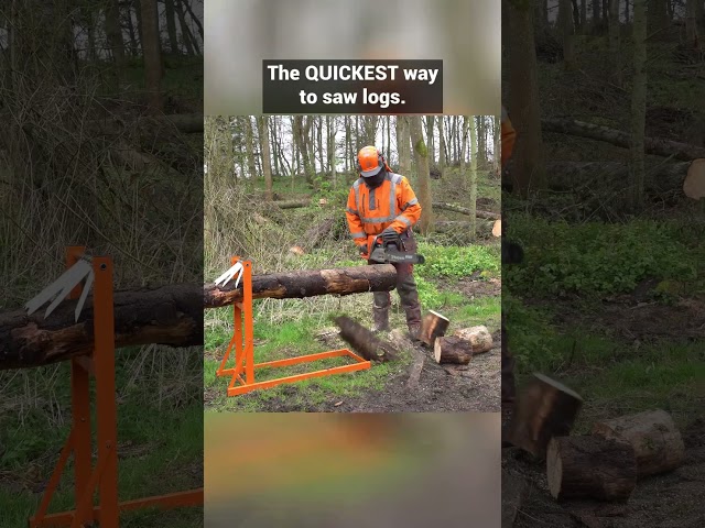 Das Holzschneiden war noch nie so SCHNELL! #forestmaster #Holzbearbeitung #Kettensäge