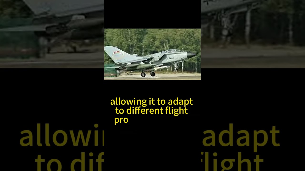 Tornado IDS Insane Military Weapon 