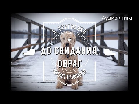 Аудиокнига сергиенко до свидания овраг