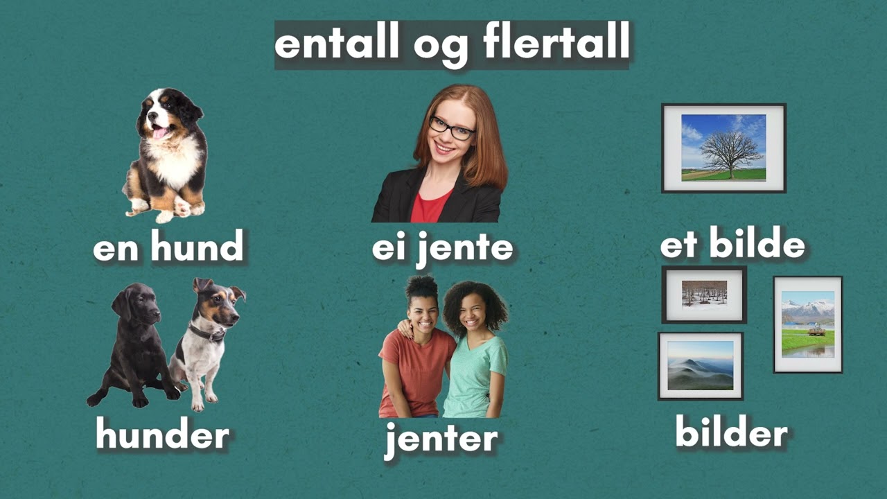 Bøying av substantiv: Arabisk/Bokmål