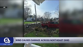News 5 viewers send photos of wind damage