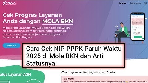 Cara Cek NIP PPPK Paruh Waktu 2025 di MOLA BKN dan Arti Statusnya 